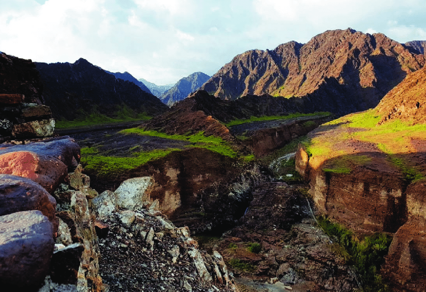 Wadi Wurayah National Park